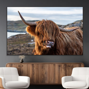 71222-MGV-CV-36X24-A playful Highland cow with shaggy fur sticks out its tongue, set against a rugged landscape — perfect for quirky home or office