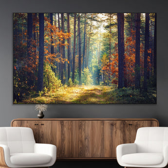 86249-MGV-CV-36X24-Sunlit Autumn Forest Path Wall Art – Peaceful Nature Scene with Fall Foliage, Calming Woods Decor for Home or Office