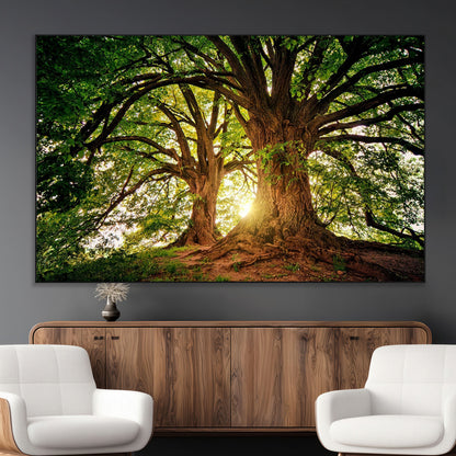 52150-MGV-CV-36X24-Majestic Tree Wall Art – Large Nature Canvas Print with Sunlight Through Branches, Rustic Forest Decor for Living Room, Bedroom or