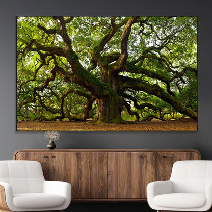 29407-MGV-CV-36X24-Ancient Oak Tree Wall Art – Majestic Nature Canvas Print, Large Tree Photography Decor for Living Room
