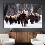 66871-MGV-CV-36X24-Bison Herd Wall Art – Wildlife Buffalo Canvas Print, Rustic Western Nature Photography Decor for Living Room, Office, Cabin, or