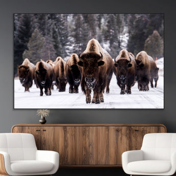 66871-MGV-CV-36X24-Bison Herd Wall Art – Wildlife Buffalo Canvas Print, Rustic Western Nature Photography Decor for Living Room, Office, Cabin, or
