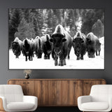 62434-MGV-CV-36X24-Bison Herd Wall Art – Majestic Black and White Buffalo Canvas Print, Wildlife Nature Photography Decor for Living Room, Office or