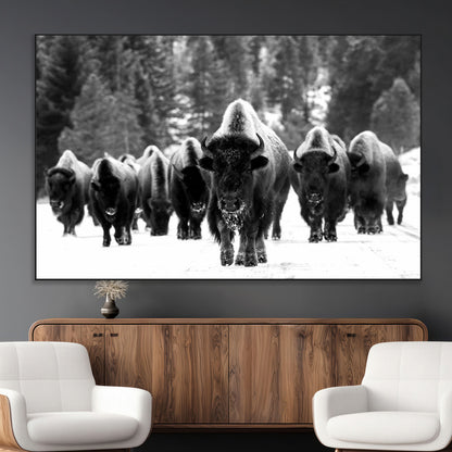 62434-MGV-CV-36X24-Bison Herd Wall Art – Majestic Black and White Buffalo Canvas Print, Wildlife Nature Photography Decor for Living Room, Office or