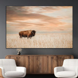 99699-MGV-CV-36X24-Bison in Prairie at Sunset – Wildlife Photography Print, American Buffalo Wall Art, Nature Landscape Canvas Decor for Office