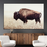 48406-MGV-CV-36X24-American Bison Wall Art – Rustic Buffalo Canvas Print in Prairie Field, Western Wildlife Photography Decor for Cabin, Lodge,