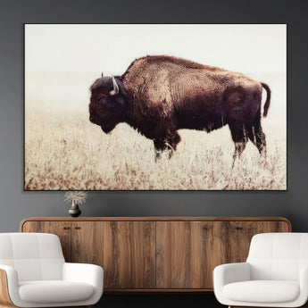 48406-MGV-CV-36X24-American Bison Wall Art – Rustic Buffalo Canvas Print in Prairie Field, Western Wildlife Photography Decor for Cabin, Lodge,