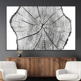 98709-MGV-CV-36X24-Tree Ring Wall Art – Black and White Canvas Print Rustic Wood Cross Section, Minimal Nature Inspired Decor for Living Room,
