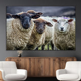18418-MGV-CV-36X24-Sheep Wall Art Canvas Print, Framed Farmhouse Sheep Art Picture Print, Sheep Herd Perfect Rustic Farmhouse Decor Artwork
