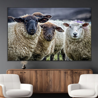 18418-MGV-CV-36X24-Sheep Wall Art Canvas Print, Framed Farmhouse Sheep Art Picture Print, Sheep Herd Perfect Rustic Farmhouse Decor Artwork