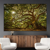 57983-MGV-CV-36X24-Angel Oak Tree Wall Art Canvas Print, Framed Oak Tree Art Picture Print, Angel Oak Perfect Rustic Nature Decor Artwork