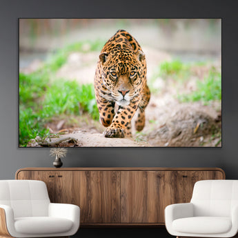 75066-MGV-CV-36X24-Leopard Wall Art Canvas Print, Framed Wild Animal Art Picture Print, Blue Eye Leopard Perfect Wild Minimal Decor Artwork