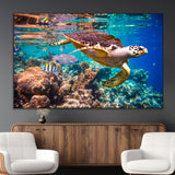 66614-MGV-CV-36X24-Sea Turtle Wall Art – Hawksbill Turtle Swimming Over Coral Reef Canvas Print, Ocean Marine Life Decor for Beach House, Coastal