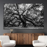 132944706-MGV-CV-36X24-Ancient Tree Wall Art – Black and White Photography Canvas Print Featuring Majestic Twisting Branches, Rustic Nature Artwork for