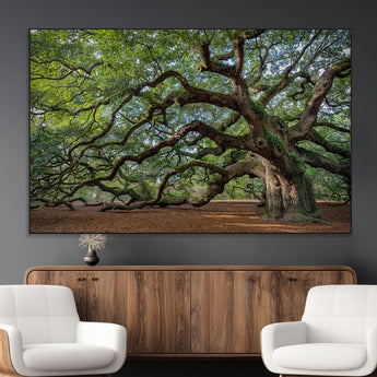 SEG-FC-51X34_Oversize - Historic Tree Wall Art Canvas Print, Framed Mossy Tree Art Picture Print, Twisted Branches Perfect Nature Southern Decor Artwork