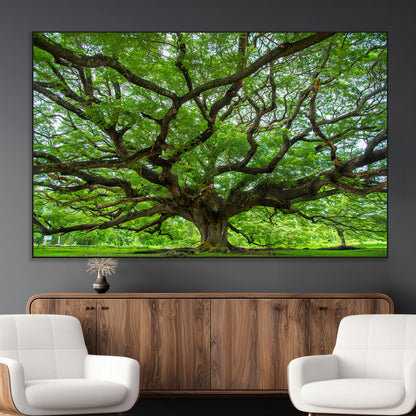49375306-MGV-CV-36X24-Ancient Tree Wall Art Canvas Print, Framed Sprawling Branches Art Picture Print, Gnarling Tree Perfect Earthy Natural Decor