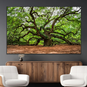 51255351-MGV-CV-36X24-Ancient Tree Wall Art – Majestic Oak Canvas Print, Large Nature Photography, Sacred Forest Landscape Wall Décor, Wisdom Tree