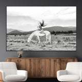 62789800-MGV-CV-36X24-White Horse Wall Art Canvas Print, Framed Woman Rider Art Picture Print, Equestrian Pose Perfect Western Boho Decor Artwork
