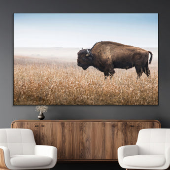99620201-MGV-CV-36X24-Wild Bison Wall Art Canvas Print, Framed Bison in Prairie Art Picture Print, Rustic Western Perfect Rustic Western Decor Artwork
