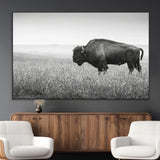 28435251-MGV-CV-36X24-Bison In Prairie Wall Art Canvas Print, Framed Rustic Wildlife Art Picture Print, Wild Buffalo Perfect Rustic Western Decor