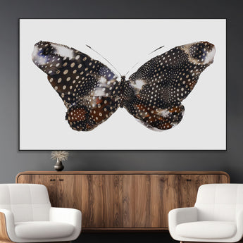 99831147-MGV-CV-36X24-Spotted Butterfly Wall Art Canvas Print, Framed Neutral Insect Theme Art Picture Print, Earthy Wing Pattern Perfect Modern Rustic