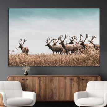 81594705-MGV-CV-36X24-Elk Herd Wall Art Canvas Print, Framed Wildlife Photography Art Picture Print, Rustic Nature Print Perfect Rustic Wildlife Decor