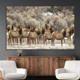 93076148-MGV-CV-36X24-Elk Herd Wall Art – Wildlife Canvas Print of Elk in Winter Landscape, Rustic Western Cabin & Lodge Décor, Nature Photography for