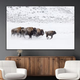 61161423-MGV-CV-36X24-Running Bison Herd Wall Art – Winter Buffalo Canvas Print, Wildlife Photography Decor for Rustic Living Room, Farmhouse, Lodge,