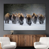 30332489-MGV-CV-36X24-Winter Bison Herd Wall Art – Powerful Buffalo Canvas Print, Rustic Wildlife Photography Decor for Farmhouse, Cabin, Lodge, Living