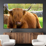 68411138-MGV-CV-36X24-Farmhouse Wall Art – Highland Cow Canvas Print, Rustic Country Cattle Photography Decor for Bedroom, Living Room, Office, Ranch,