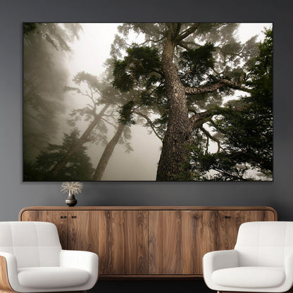 87969493-MGV-CV-36X24-Forest Wall Art – Misty Tall Trees Canvas Print, Dramatic Woodland Photography Decor for Bedroom, Living Room, Office, Cabin,