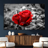 84671-SEG-FC-51X34_Oversize_Oversize-Red Rose Wall Art – Vibrant Single Bloom Canvas Print with Black and White Background, Elegant Floral Decor for Living Room,
