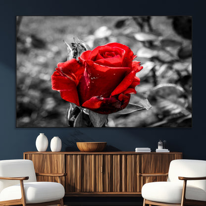 84671-SEG-FC-51X34_Oversize_Oversize-Red Rose Wall Art – Vibrant Single Bloom Canvas Print with Black and White Background, Elegant Floral Decor for Living Room,