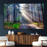42047-SEG-FC-51X34_Oversize_Oversize-Sunlit Forest Path Wall Art – Nature Canvas Print, Serene Woodland Landscape, Perfect Home & Office Decor for Calm and Tranquil