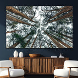 18790-MGV-CV-36X24-Pine Canopy Wall Art – Panoramic View of Towering Pines Canvas Print, Nature-Inspired Decor for Office, Cabin or Living Room