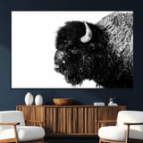 68780-MGV-CV-36X24-Bison Close-Up Wall Art – Black and White Buffalo Canvas Print, Rustic Wildlife Photography Decor for Living Room, Office, or