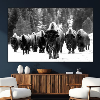 62434-MGV-CV-36X24-Bison Herd Wall Art – Majestic Black and White Buffalo Canvas Print, Wildlife Nature Photography Decor for Living Room, Office or
