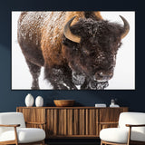 65605-MGV-CV-36X24-Snow Bison Wall Art – Close Up Buffalo Canvas Print, Rustic Western Wildlife Photography, Farmhouse Cabin Lodge Decor for Living