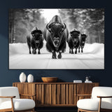 45287-SEG-FC-51X34_Oversize_Oversize-Bison Herd Wall Art – Black and White Buffalo Snow Road Canvas Print, Rustic Wildlife Decor for Cabin, Lodge or Living Room
