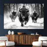 97552-SEG-FC-51X34_Oversize_Oversize-Black and White Bison Wall Art – Buffalo Herd Running in Snow Canvas Print, Rustic Wildlife Photography Decor for Cabin, Lodge, or