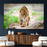 75066-SEG-FC-51X34_Oversize_Oversize-Leopard Wall Art Canvas Print, Framed Wild Animal Art Picture Print, Blue Eye Leopard Perfect Wild Minimal Decor Artwork