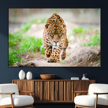 75066-SEG-FC-51X34_Oversize_Oversize-Leopard Wall Art Canvas Print, Framed Wild Animal Art Picture Print, Blue Eye Leopard Perfect Wild Minimal Decor Artwork