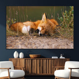 25085-MGV-CV-36X24-Sleeping Fox Wall Art Canvas Print, Framed Rustic Fox Art Picture Print, Wildlife Animal Perfect Rustic Farmhouse Decor Artwork