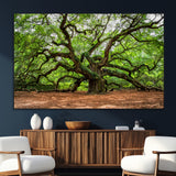 51255351-SEG-FC-51X34_Oversize_Oversize-Ancient Tree Wall Art – Majestic Oak Canvas Print, Large Nature Photography, Sacred Forest Landscape Wall Décor, Wisdom Tree