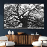 81655611-SEG-FC-51X34_Oversize_Oversize-Ancient Oak Wall Art Canvas Print, Framed Twisted Branches Art Picture Print, Gnarled Tree Perfect Moody Nature Decor Artwork