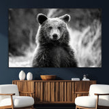 SEG-FC-51X34_Oversize - Grizzly Bear Wall Art Canvas Print, Framed Black White Bear Art Picture Print, Wild Bear Perfect Rustic Wildlife Decor Artwork