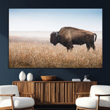 91267849-SEG-FC-51X34_Oversize_Oversize-Wild Bison Wall Art Canvas Print, Framed Bison in Prairie Art Picture Print, Rustic Western Perfect Rustic Western Decor Artwork