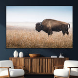 99620201-MGV-CV-36X24-Wild Bison Wall Art Canvas Print, Framed Bison in Prairie Art Picture Print, Rustic Western Perfect Rustic Western Decor Artwork