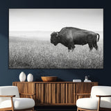 28435251-SEG-FC-51X34_Oversize_Oversize-Bison In Prairie Wall Art Canvas Print, Framed Rustic Wildlife Art Picture Print, Wild Buffalo Perfect Rustic Western Decor