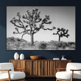 50975475-SEG-FC-51X34_Oversize_Oversize-Joshua Tree Art Wall Art Canvas Print, Framed Desert Tree Print Art Picture Print, Black White Nature Perfect Southwestern Boho
